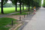 Schloss Solitude, Stuttgart