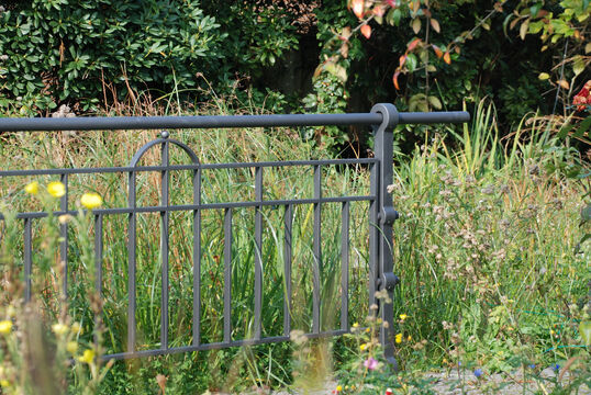 Gardes-corps à décor Garde-corps à décor Weser