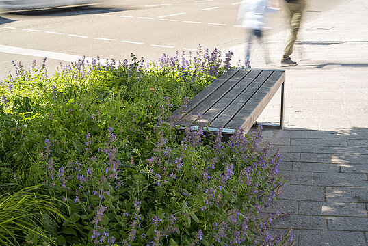 Marbach am Neckar, Marktstraße