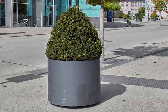 Stadtgeschichten Bertrange