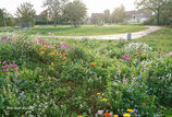 Bocholt, Centre Vert