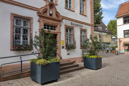 Bensheim, Rathaus