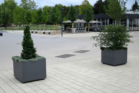 Bertrange, Luxemburg - Planter Bari round