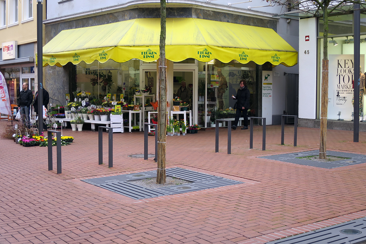 Blumen Risse Ahlen